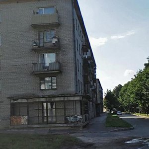 Yeleninskaya Street, 31, Lomonosov: photo