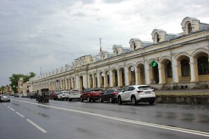 Московская улица, 25 Пушкин: фото