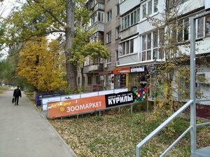 Revolutsionnaya Street, 48, Samara: photo