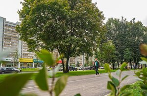 Leninsky Avenue, 99, Moscow: photo