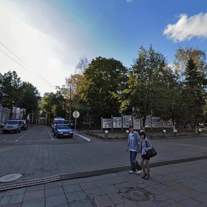 Moskovskaya Street, 74, Penza: photo