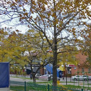Dzerzhinskogo Avenue, 172А, Novorossiysk: photo