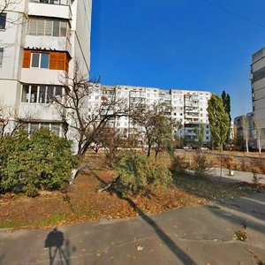 Pryozerna Street, 10А, Kyiv: photo