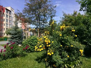 Tereshkovoy Street, 33, Novosibirsk: photo