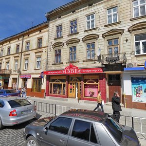 Horodotska vulytsia, 102, Lviv: photo