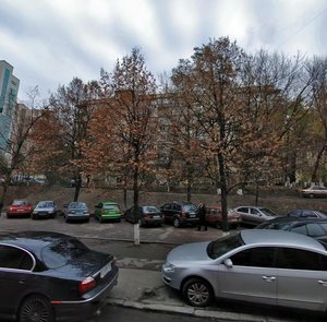 Dmytrivska Street, 24, Kyiv: photo