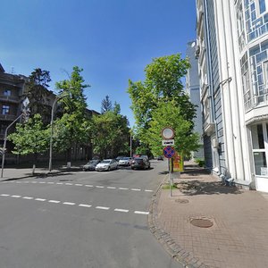 Shovkovychna Street, 6/15, Kyiv: photo