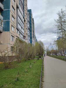 Sizova Avenue, 32к1Б, Saint Petersburg: photo