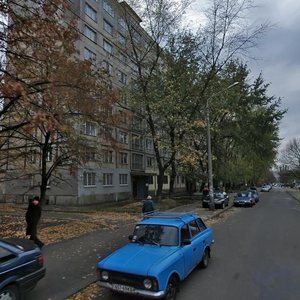 Anatoliia Solovianenka Street, 10, Kyiv: photo