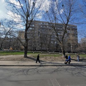 Vasylkivska Street, 38, Kyiv: photo