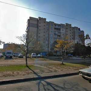 Serzha Lyfaria Street, 21/54, Kyiv: photo