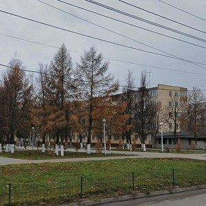 Puzakova Street, 40, Tula: photo