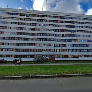 Soldata Korzuna Street, 5, Saint Petersburg: photo