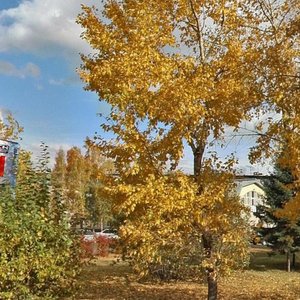Stroiteley Avenue, 41А, Barnaul: photo