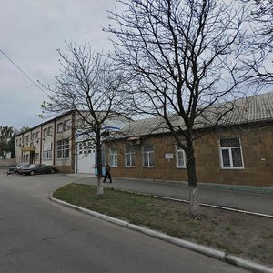 Radyscheva Lane, 6, Kyiv: photo