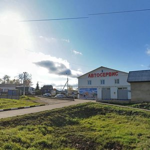Москва, Посёлок Щапово, 55: фото