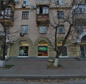 Valeriia Lobanovskoho Avenue, 5, Kyiv: photo