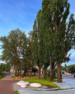 Bagrationa Street, 1, Kaliningrad: photo