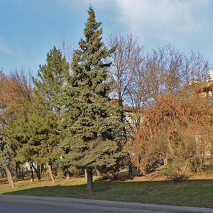 Kalinina Avenue, 27/2, Pyatigorsk: photo