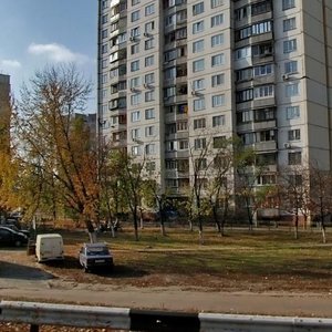 Heroiv Stalinhrada Avenue, 1 ، كييف: صورة