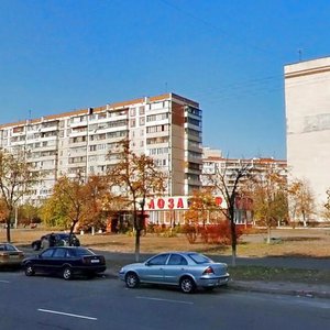 Serzha Lyfaria Street, No:18Б, Kiev: Fotoğraflar