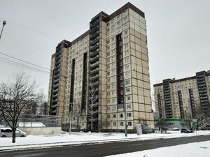 Chudnovskogo Street, 5, Saint Petersburg: photo