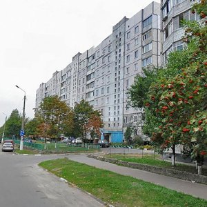 Vulytsia Myru, 10, Obukhiv: photo