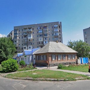 Blahovisna vulytsia, 463, Cherkasy: photo