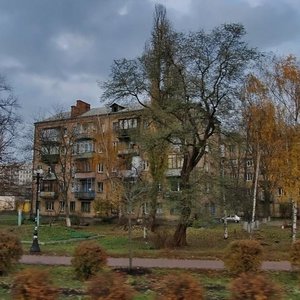 Vyshhorodska Street, 8, Kyiv: photo