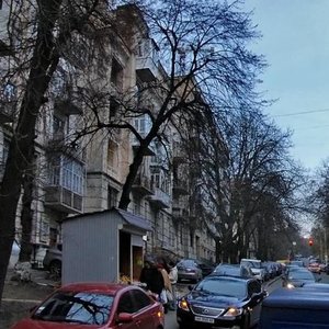 Pankivska Street, 18, Kyiv: photo