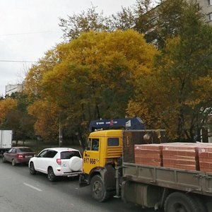 Profsoyuznaya Street, 17 ، تيومين: صورة