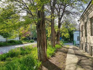 Ulitsa Shmidta, 10, Taganrog: photo