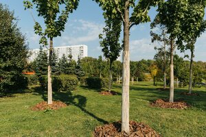 Москва, МКАД, 32-й километр, вл15: фото