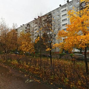 Beryozovskaya Street, 110, Nizhny Novgorod: photo