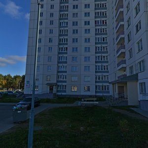 Niescierava Street, 98, Minsk: photo