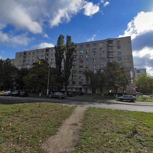 Marshala Rokosovskoho Avenue, 8А, Kyiv: photo