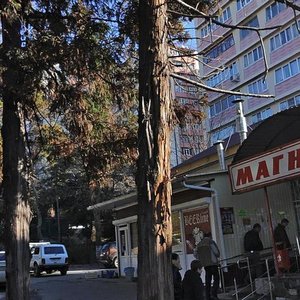 Vozrozhdeniya Street, 22, : foto