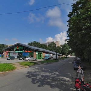 Toreza Avenue, 87, Saint Petersburg: photo