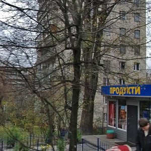 Predslavynska Street, 14, Kyiv: photo