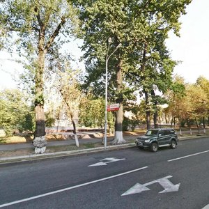 Pushkin Street, 125, Almaty: photo