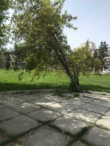 Ulitsa Krasny Put, 6, Omsk: photo