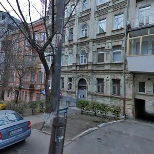 Pankivska Street, 10, Kyiv: photo