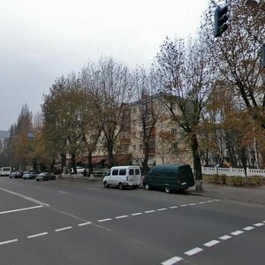 Vidradnyi Avenue, 22, Kyiv: photo