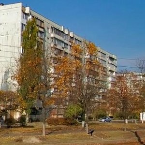 Marshala Tymoshenka Street, 5, Kyiv: photo