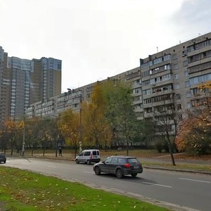 Mytropolyta Andreia Sheptytskoho Street, 1/2, Kyiv: photo