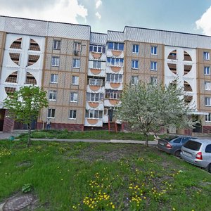 Tsentralnaya Street, 2, Stroitel: photo