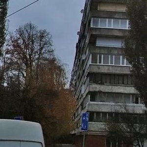 Mykoly Ushakova Street, 12 ، كييف: صورة