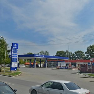 Nikitina Street, 126, Novosibirsk: photo