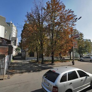 Cheliuskina Street, 8А, Dnipro: photo