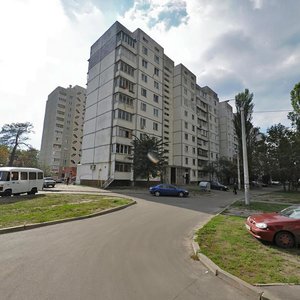 Boryspilska Street, 28А, Kyiv: photo